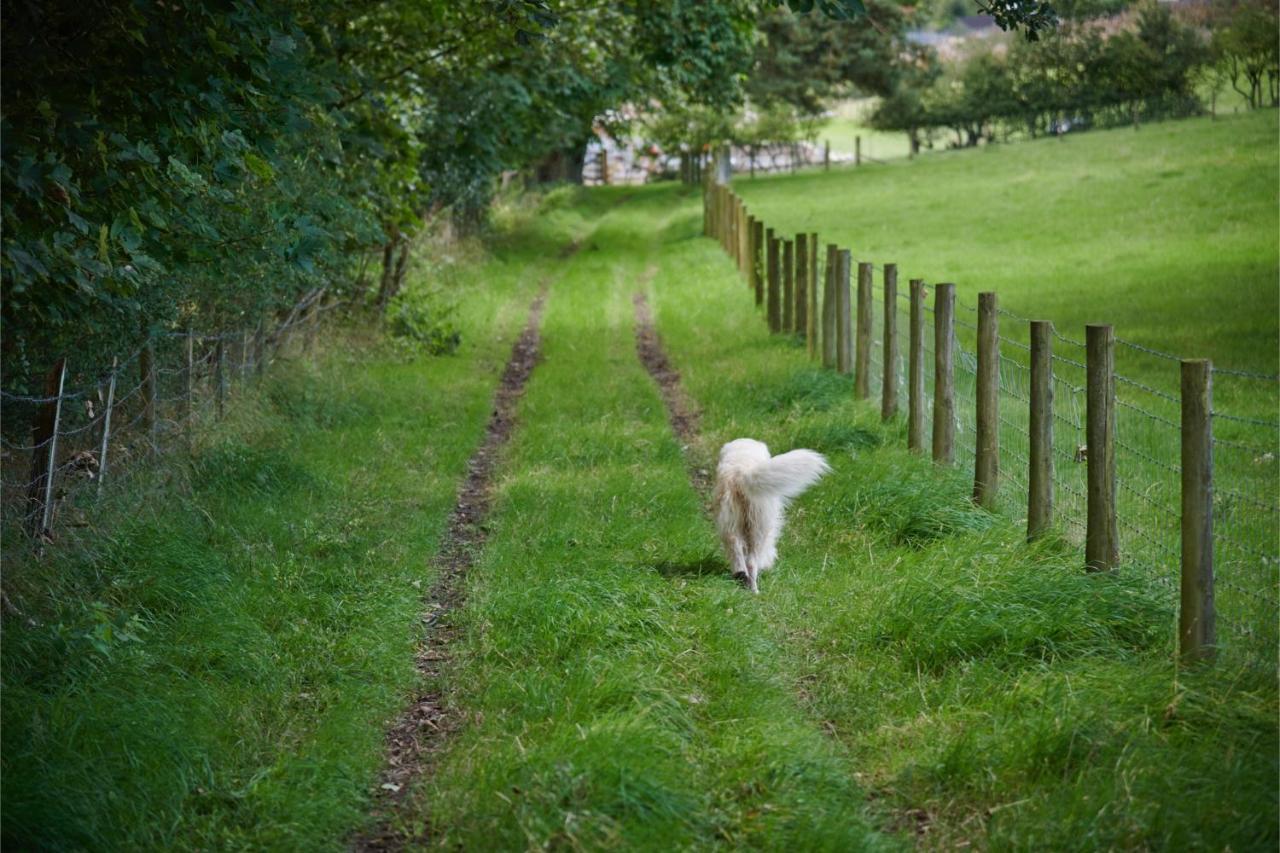 Newlands Farm Stables Villa Kendal Kültér fotó